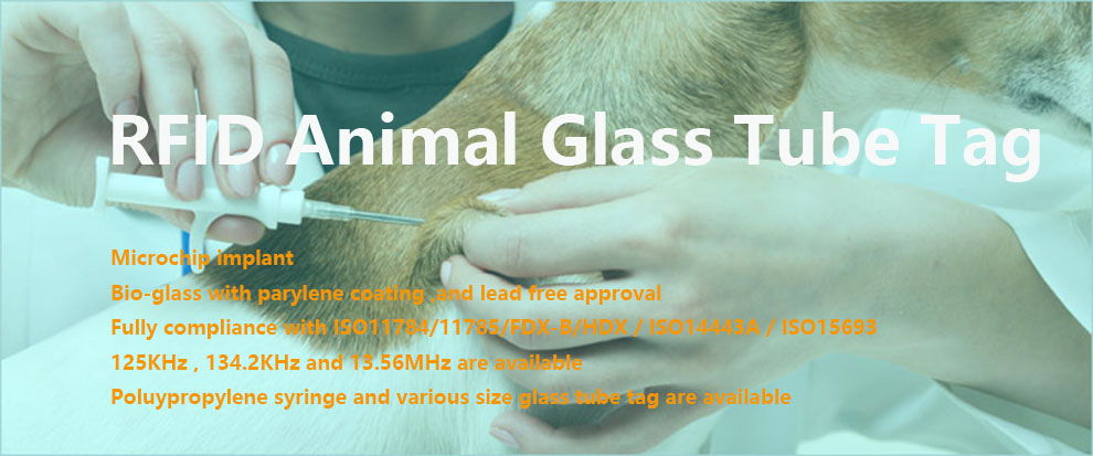 Usine d'étiquettes de tubes en verre pour animaux ZhiJie Rfid