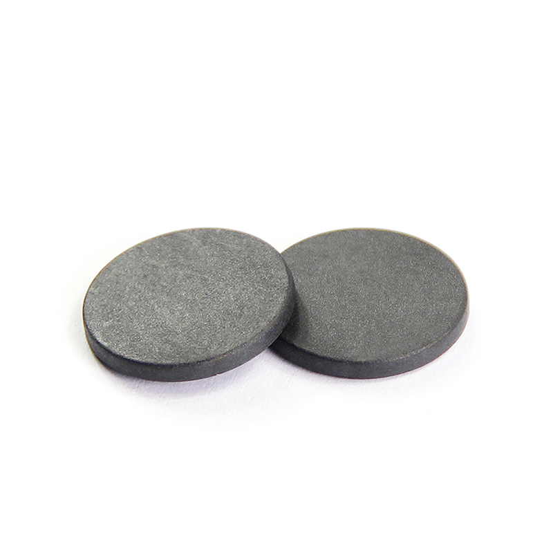125Khz Read Only Rfid Pps Tag