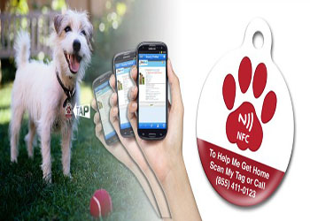  NFC Numérise la vitesse d'information pour sauver de nombreux animaux manquants